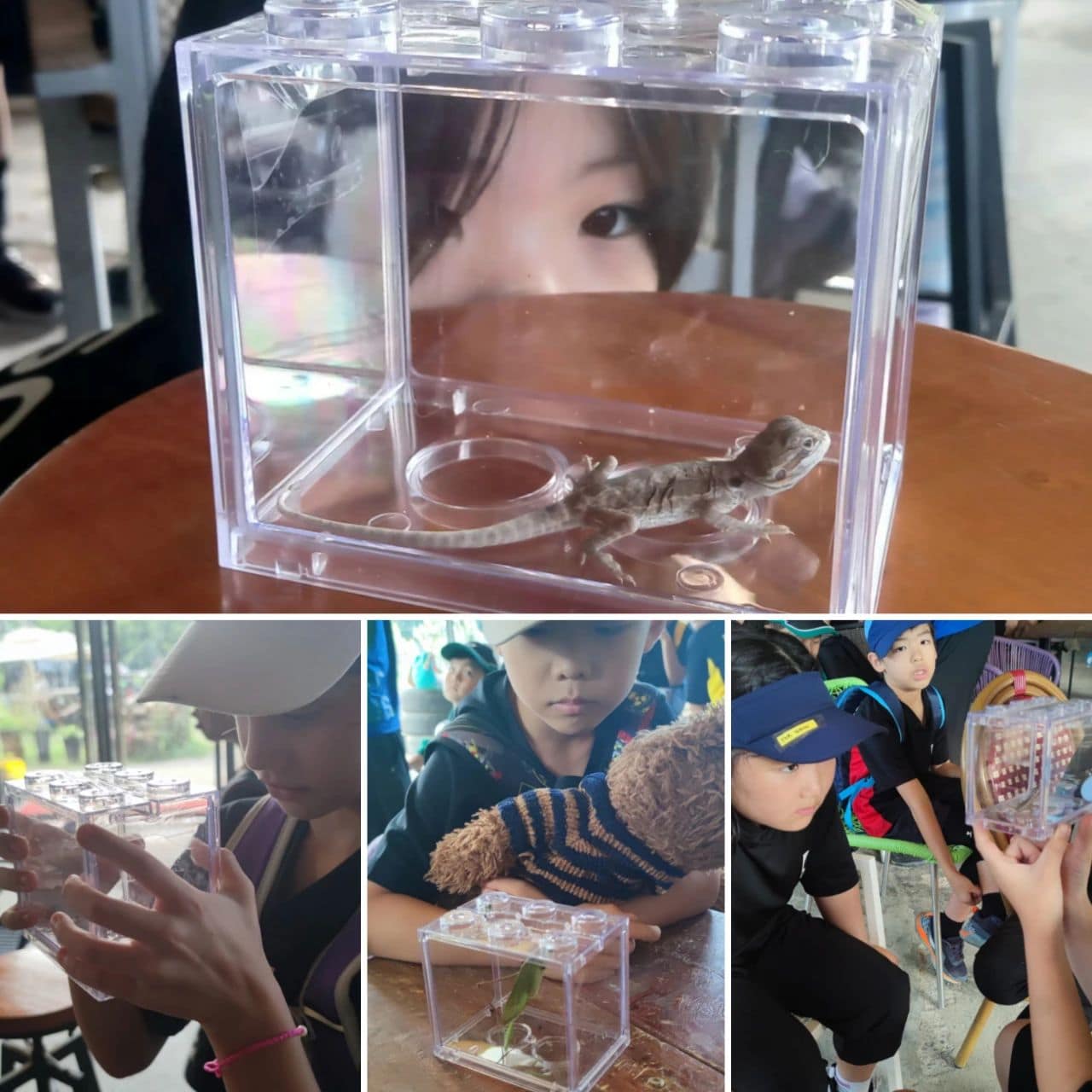 Photos | Year 3 Camp (Nov 2023)