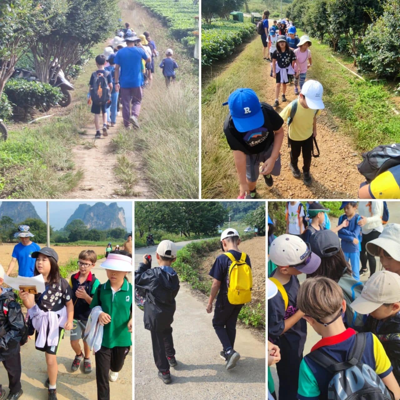 Photos | Year 3 Camp (Nov 2023)